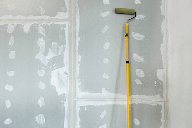 Best Drywall Crack Repair  in Yutan, NE